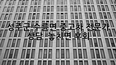 성주군 수륜면 중고차 전문가 상담 🚗💨 놓치면 후회!