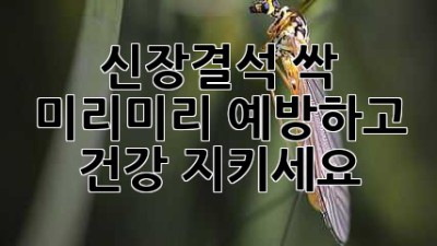 신장결석 싹! 미리미리 예방하고 건강 지키세요💪