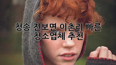 청송 진보면 이촌리 빠른 청소업체 추천