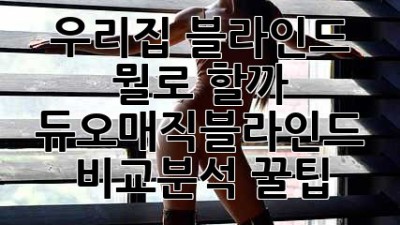 우리집 블라인드, 뭘로 할까? 🤔 듀오매직블라인드 비교분석 꿀팁!