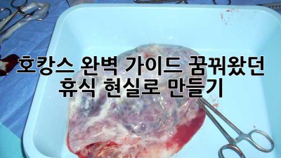 🏨✨ 호캉스 완벽 가이드: 꿈꿔왔던 휴식, 현실로 만들기! ✨🥂