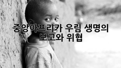 중앙아프리카 우림: 생명의 보고와 위협